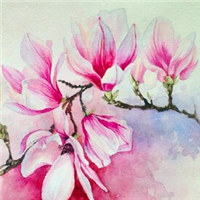 卡通花朵动漫头像图片