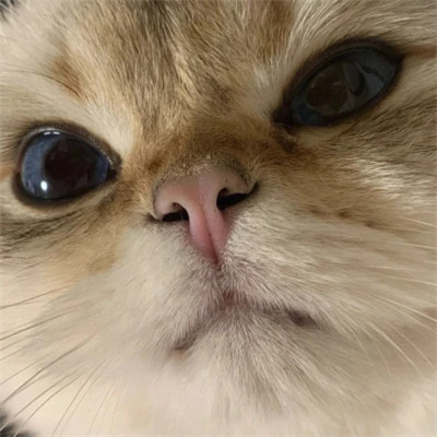 44组好看的全网情侣头像图片